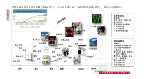 金光APP与中网品牌策划 品牌战略咨询与礼仪服务助力成熟品牌营销突破